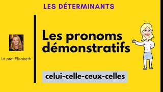 Les pronoms démonstratifs en français CeluicelleceuxcellesNiveau A2 [upl. by Meta]