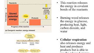 Chapter 7 Microbial Metabolism [upl. by Yesteb]