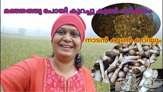 കൂൺ പറിച്ച് നാടൻ കൂൺ കറിയും   Nadan Koon Curry   Mushroom Curry Nadan Style  Beauty of Nature [upl. by Mussman]