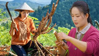 Dianxi Xiaoge is amazing  Using cassava to make colorful cakes  Life on the mountain top [upl. by Oruhtra925]