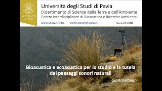 Dalla bioacustica allecologia acustica per studiare i paesaggi sonori naturali [upl. by Olive]