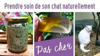 Comment prendre soin de son chat naturellement  concours [upl. by Latty]