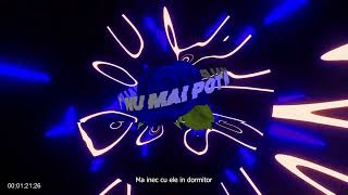 NDG  quotNu mai potquot REMIX feat SECHO Official Visualizer [upl. by Jacenta]