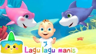 BAYI HIU – Lagu anak anak Bernyanyi dan Menari [upl. by Ahsurej]