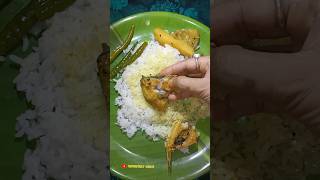 patla ilish er jhol 🤤🤩shortsfeed shorts youtube youtubefeed viralvideo viral viralshorts [upl. by Bonita]