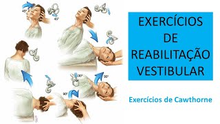 EXERCÍCIOS DE REABILITAÇÃO VESTIBULAR [upl. by Einoj]