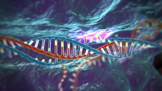 Genome Editing with CRISPRCas9 Chinese Translation [upl. by Applegate798]