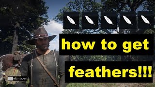 Red dead redemption 2 How to get feathers [upl. by Bencion224]