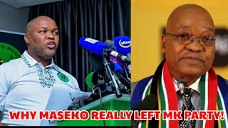 Truth Exposed Why Sifiso Maseko Left Jacob Zumas MK Party [upl. by Rochus]