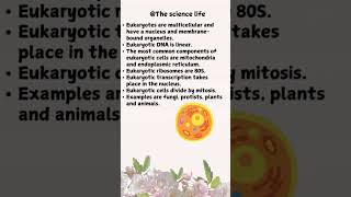 Prokaryotes VS Eukaryotes Whats the differenceprokaryotes eukaryotes shorts [upl. by Hctud51]