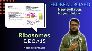 Ribosomes  Ribosomes structure and function  class 11 [upl. by Peednus]