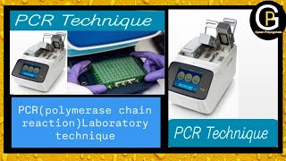 DNA Extraction Part3 PCR Polymerase Chain Reaction PCR Basic Principles and Data AnalysisPCR [upl. by Ecenaj]