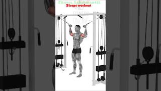 Biceps workout 💪 shorts home with equipment gym lakshman viralvideo trending fit [upl. by Faunia]