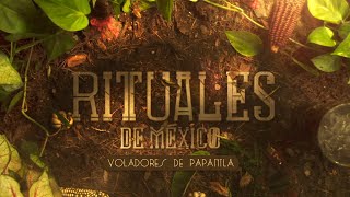 Rituales de México  Voladores de Papantla [upl. by Kinney]