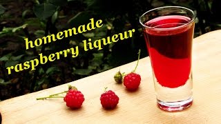 How to make Raspberry liqueur recipes of homemade liqueur [upl. by Kutzer313]