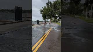 Coffee pot bayou hurricane helene [upl. by Walford]