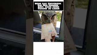 wir sehen uns am Gleis 9 34 🦉psychologie universum spiritualität krafttier eule tiere [upl. by Oderfodog]