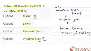 Enzyme trypsinogen is a component of [upl. by Stefan]