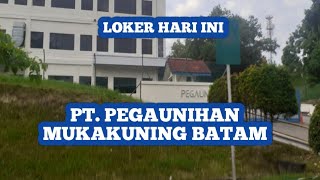 PT PEGAUNIHAN MUKAKUNING LOKER BATAM HARI INI IKLAN KOTA BATAM [upl. by Romaine]