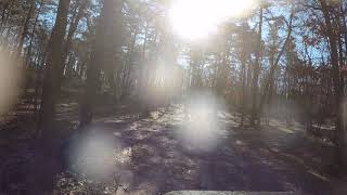 Offroading at Colliers Mills in Jackson NJ [upl. by Zerk]