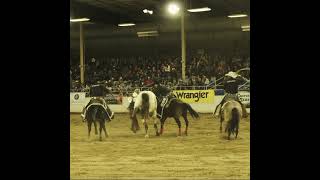 8 second bareback bronc riding buckaroo stuck like glue shorts [upl. by Noyahs]