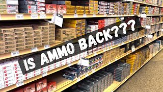 Ammo Prices in March 2024 [upl. by Bernard]