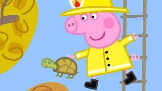 Peppa Pig Official Channel  Peppa Pig Saves Mr Tiddles [upl. by Acinoreb]