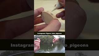 Making a Wooden crab lure bassfishing diyfishinglures fishing [upl. by Anizor]