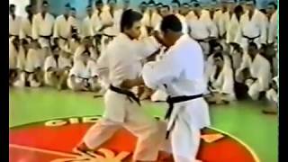 Hiroshi Shirai Sensei Teach Bunkai Of Kata Empi [upl. by Asyram]