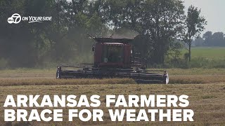 Arkansas farmers brace for weather from Hurricane Helene [upl. by Nnek]