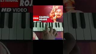 Kaadhal Rojave song in my style 🎹 piano music pianocover trendingshorts [upl. by Leggett]