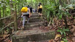 BUKIT TIMAH NATURE PARK SINGAPORE sheica31mychannel [upl. by Haizek]