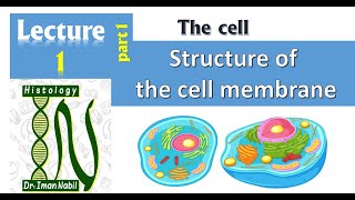 1aStructure of cell membranePart1 Lipids and Proteins [upl. by Nawad]