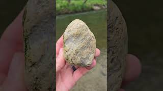 Big Beautiful Stromatolite Fossil Found On quotFlowquot The River [upl. by Hollyanne383]