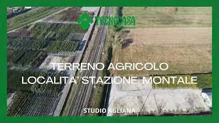 TERRENO AGRICOLO MONTALE [upl. by Mcgraw]