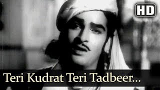 Teri Kudrat Teri Tadbeer HD  Shama Parwana Songs  Suraiya  Shammi Kapoor [upl. by Rabiah]