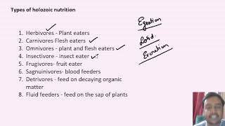 Types of holozoic nutrition [upl. by Bobette]