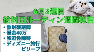 【薬剤師給料日ルーティン】散財薬剤師 給料日ルーティン週間報告 ディズニーアンバサダーホテル旅行 ビリーブ [upl. by Pogue]