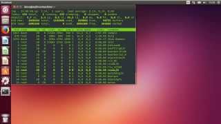 Linux Sysadmin Basics  61 Process Signals [upl. by Loyce]