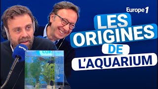 Les origines de laquarium avec David CastelloLopes [upl. by Naples613]