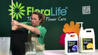 Hydrating Flowers with Floralife® Quick Dip and Flower Food for Flower Care [upl. by Amiel]