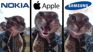 Cat Meows into door camera meme but famous phone ringtones [upl. by Anawad]