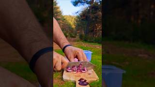 Camping Skills You NEED To Know camping cooking knifesafety outdoors nature [upl. by Aisset418]