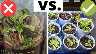 The Complete Venus Flytrap Indoor Care Guide 🌱 [upl. by Hcirdeirf443]