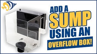 Add a Sump to Your Reef Tank Using an Overflow Box [upl. by Eastman799]