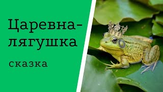 Царевналягушка русская сказка [upl. by Lundell]