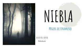 Niebla Miguel de Unamuno Audiolibro Completo [upl. by Concoff]