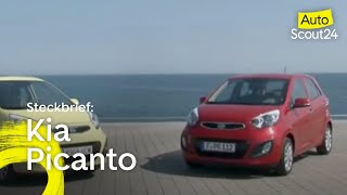 Kia Picanto Rausgeputzt [upl. by Nallek]