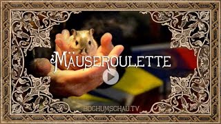 Mäuseroulette Mittelaltermarkt mit Gerbil [upl. by Airogerg]