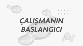 Çalışmanın Başlangıcı [upl. by Mccully614]